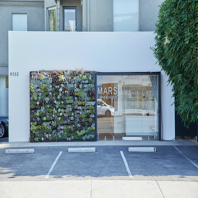 Mars the Salon Los Angeles
